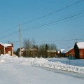 Ollila