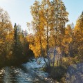 Pyhäjoen ruskaa