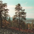 Pyhätunturi, postikortti