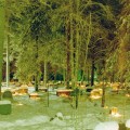 Jouluaatto, Pelkosenniemen hautausmaa