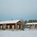 Mattila