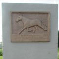 Saran Salama 1996-2016