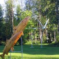 Lohet ja Joutsenet kotipihalla
