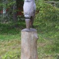 Lapinpöllö